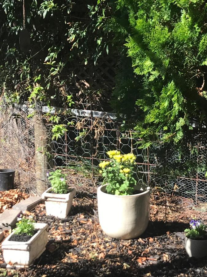QuornBirdsong Gardensアパートメント エクステリア 写真